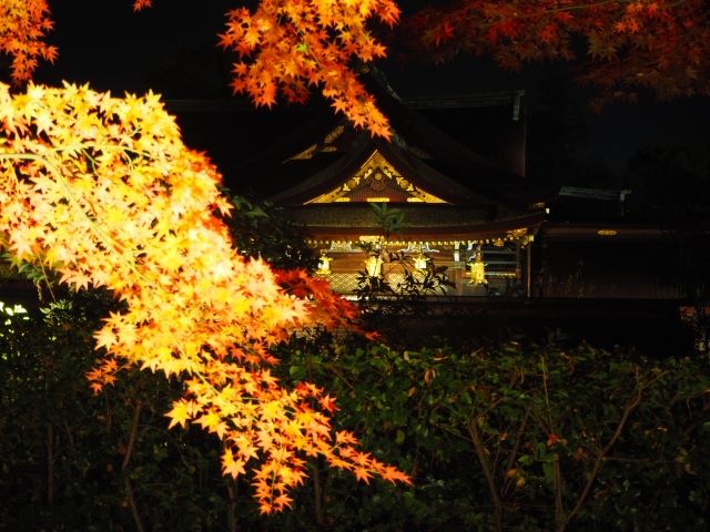 北野天満宮の紅葉ライトアップ