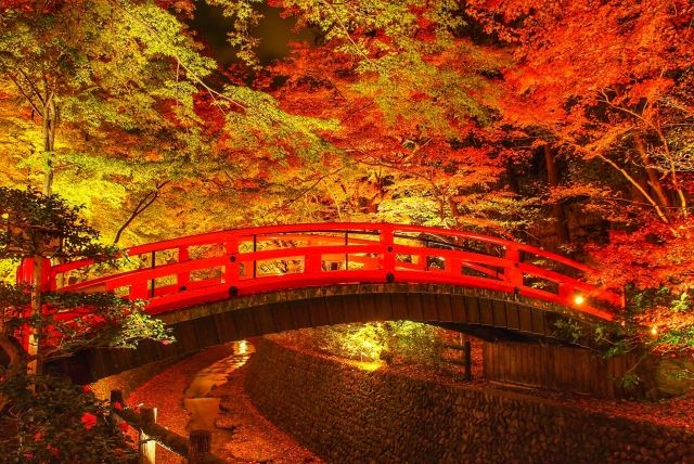 北野天満宮の紅葉