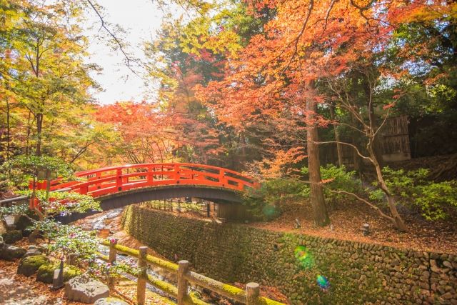 北野天満宮の紅葉